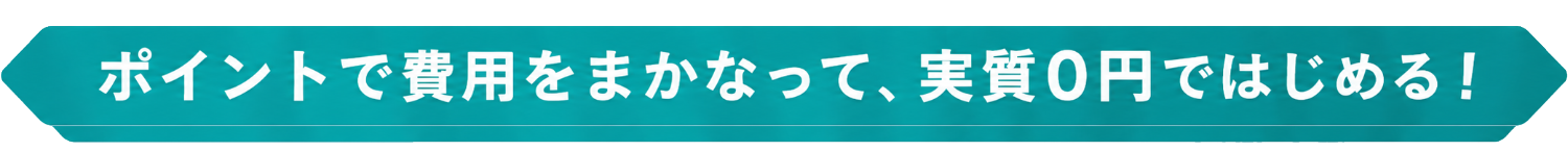 ポイントで費用をまかなって、実質0円ではじめる！